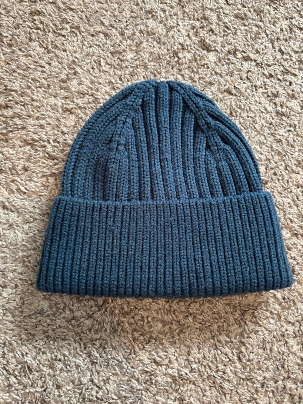 Aritzia TNA beanie